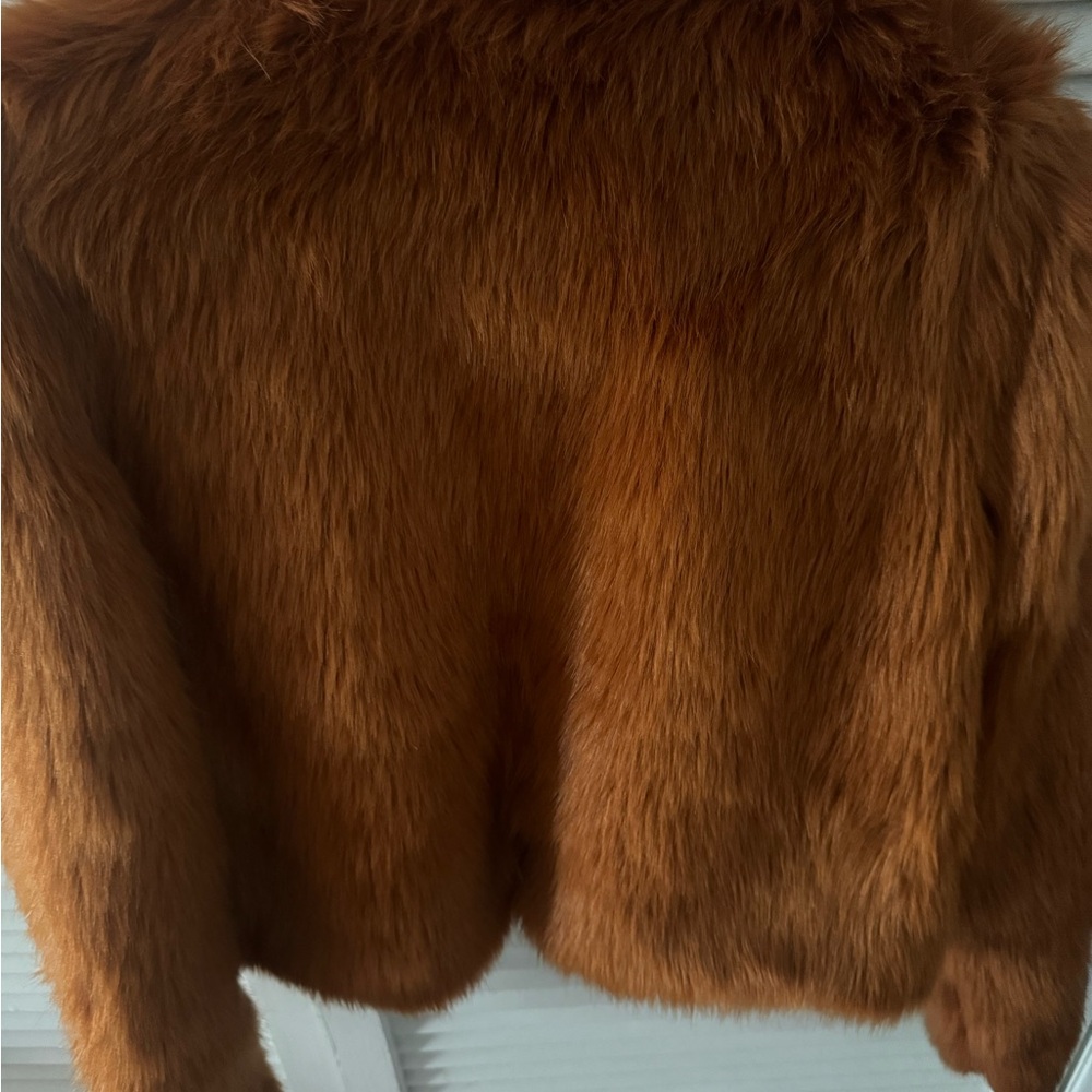 Jacket - Picture 2 of 3